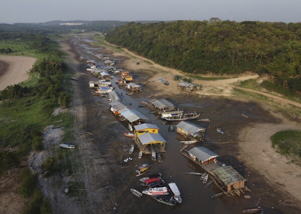 La deforestaci&oacute;n reduce el margen seguro de la Amazon&iacute;a