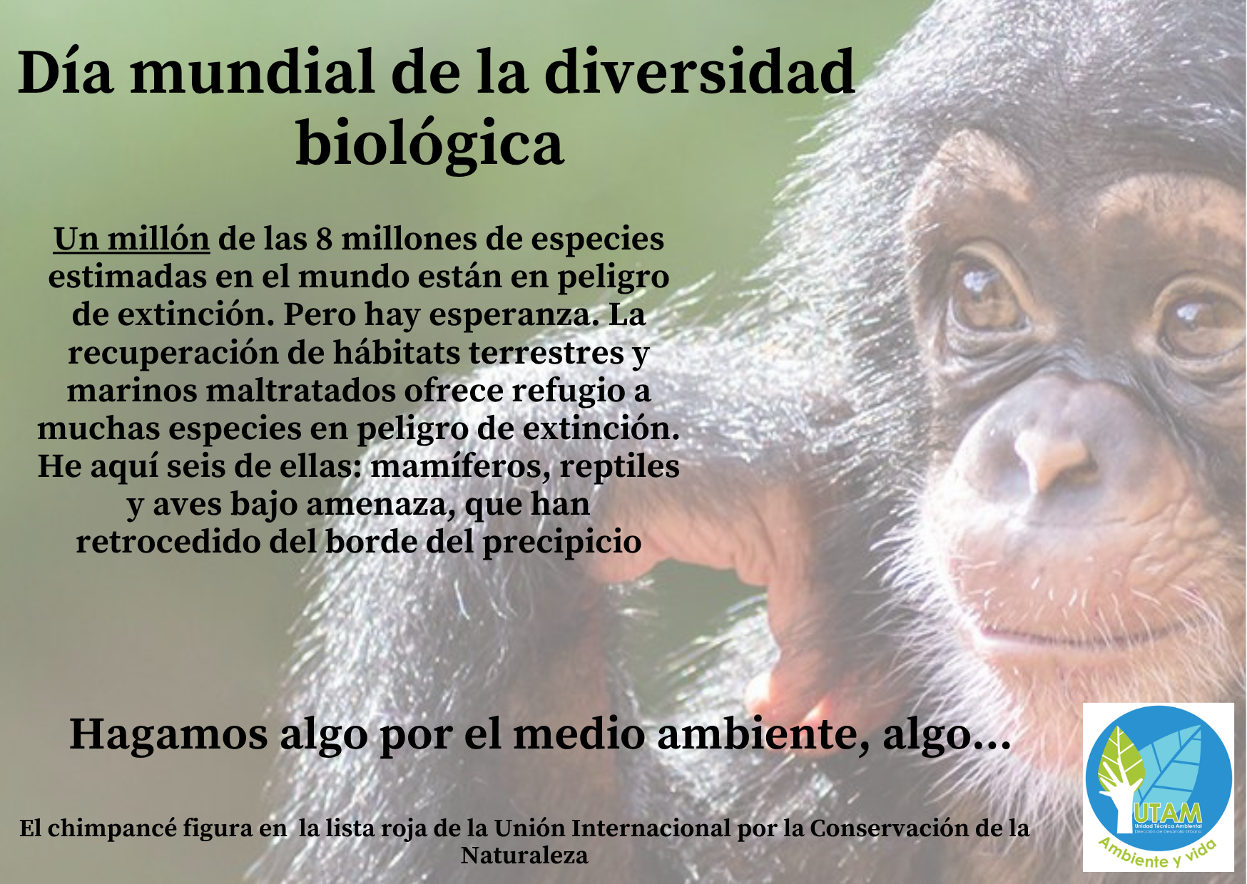 D&iacute;a Mundial de la Diversidad Biol&oacute;gica