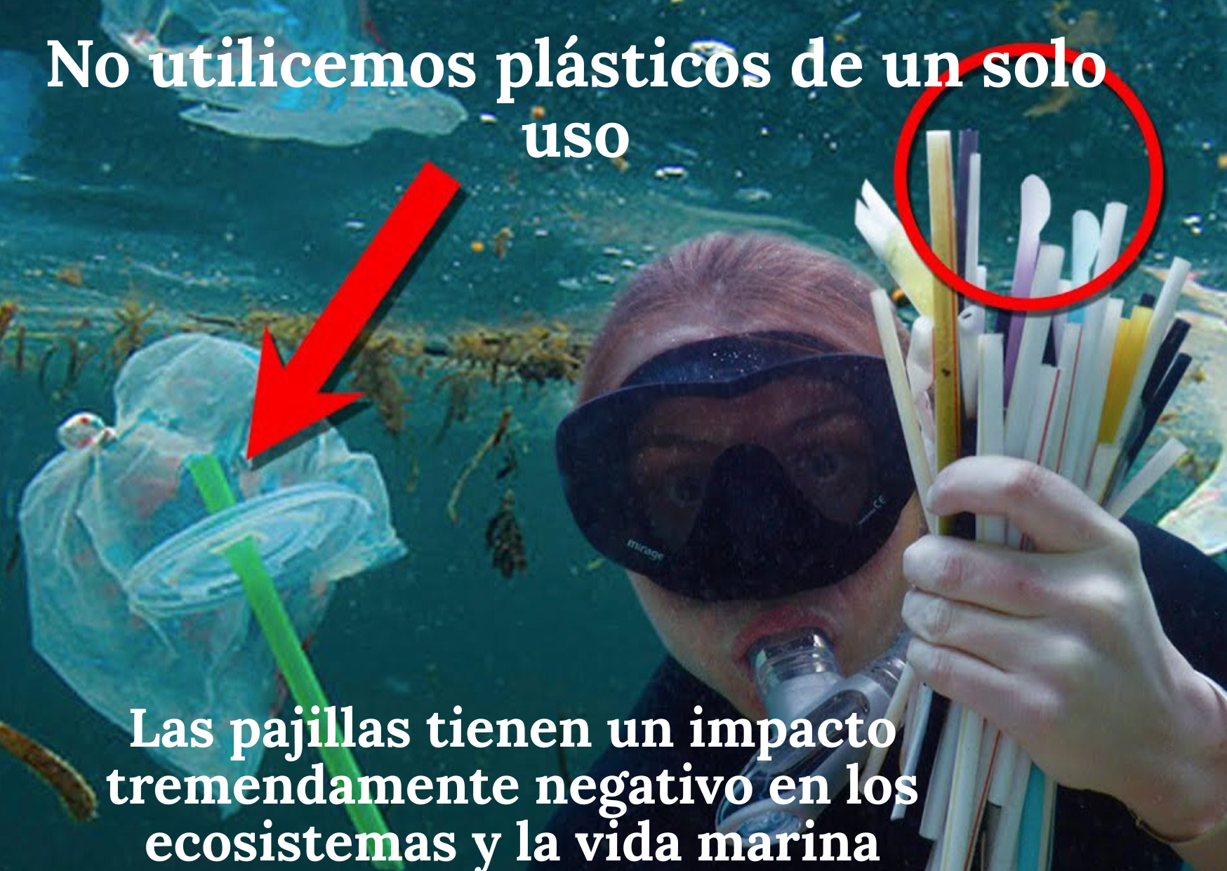 D&iacute;a Mundial sin Pajillas