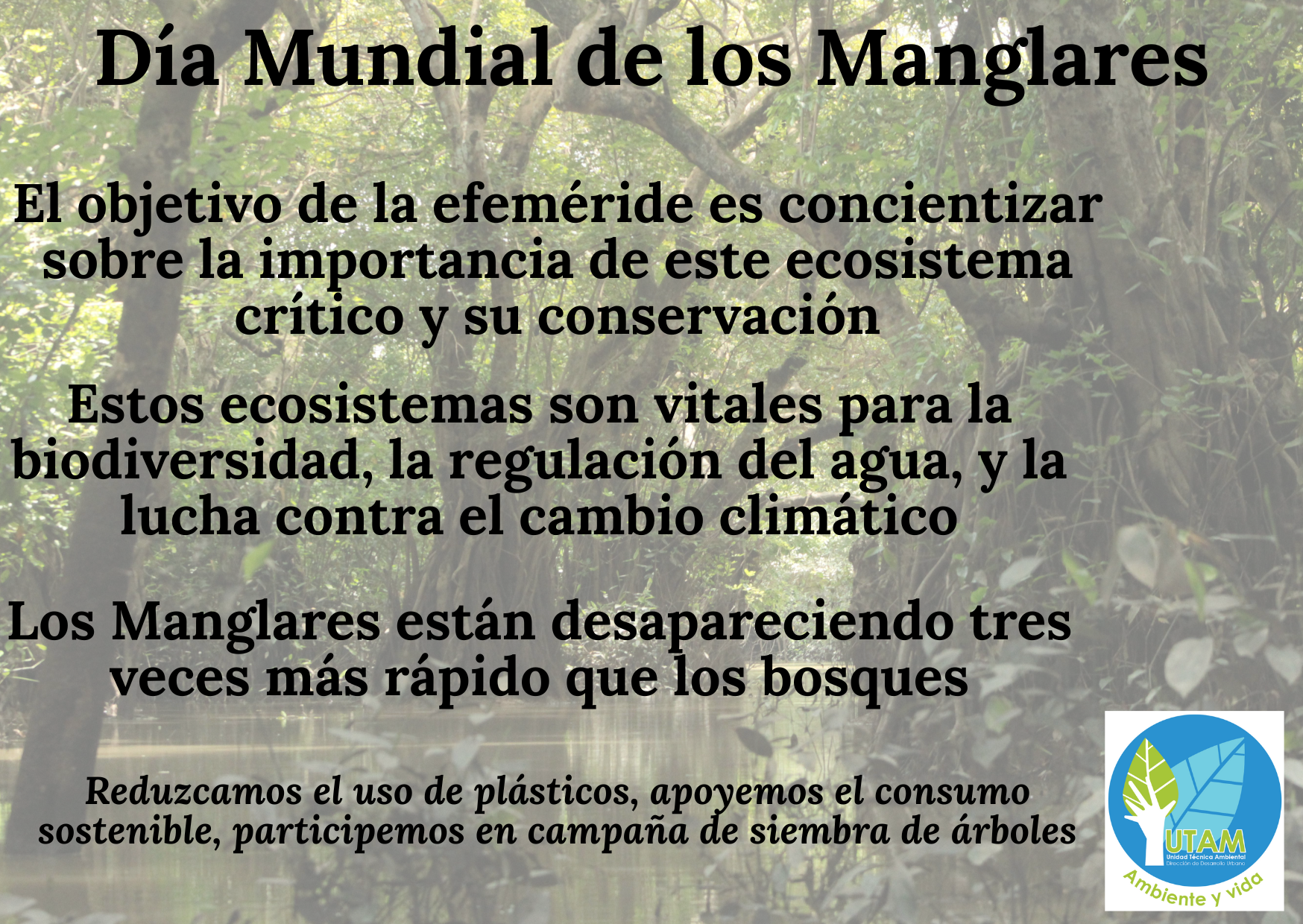 D&iacute;a Mundial de los Humedales