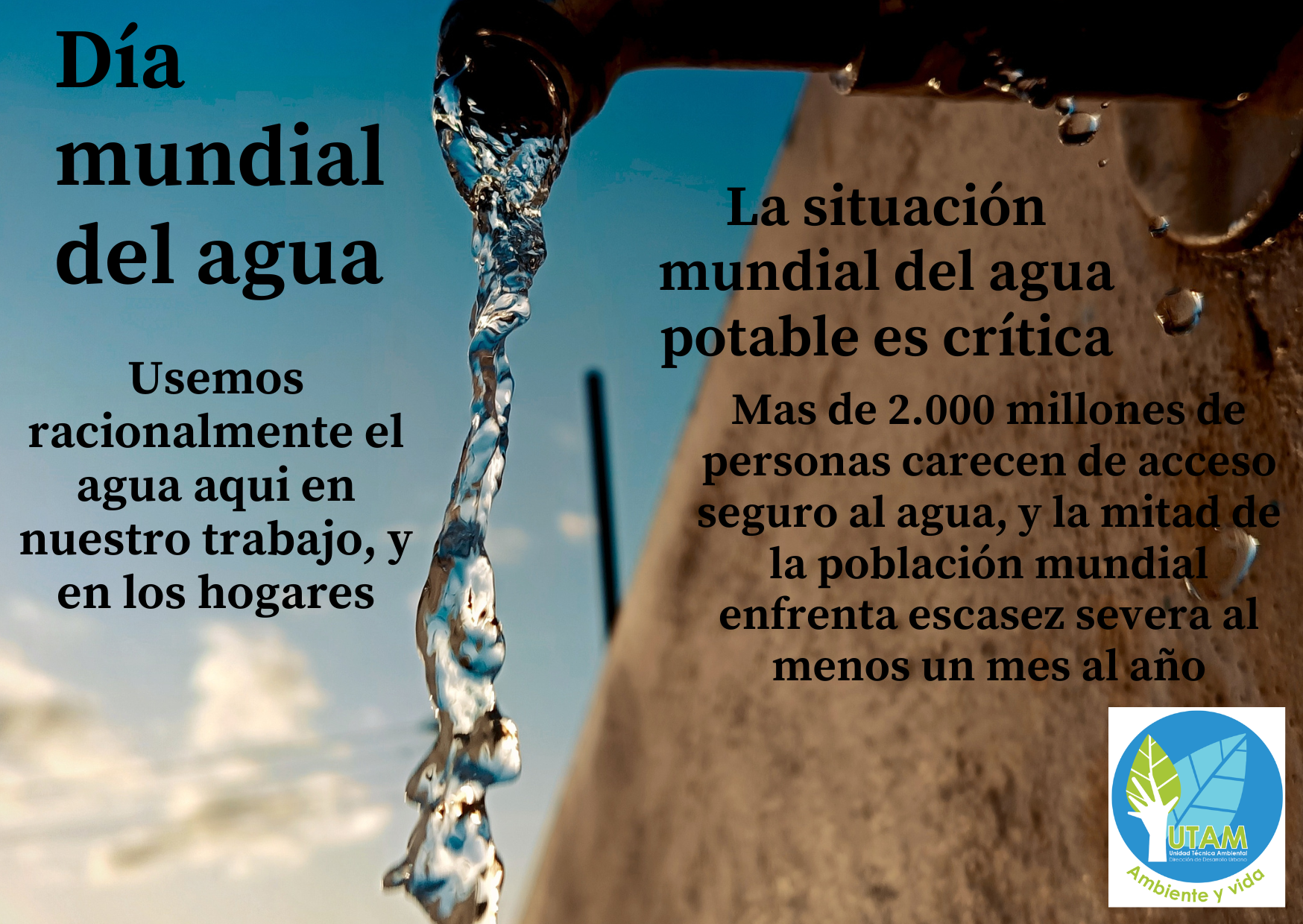 D&iacute;a Mundial del Agua